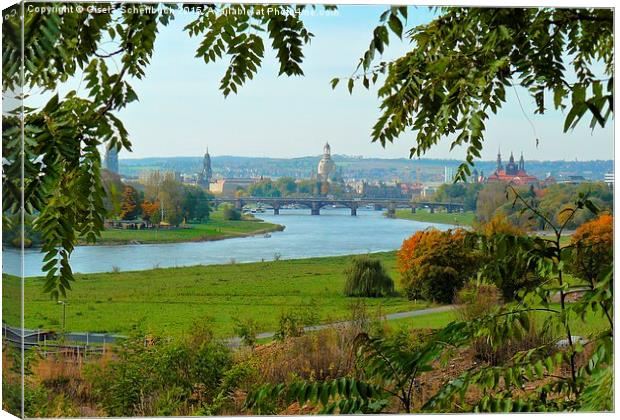  A Famous View of Dresden Canvas Print by Gisela Scheffbuch