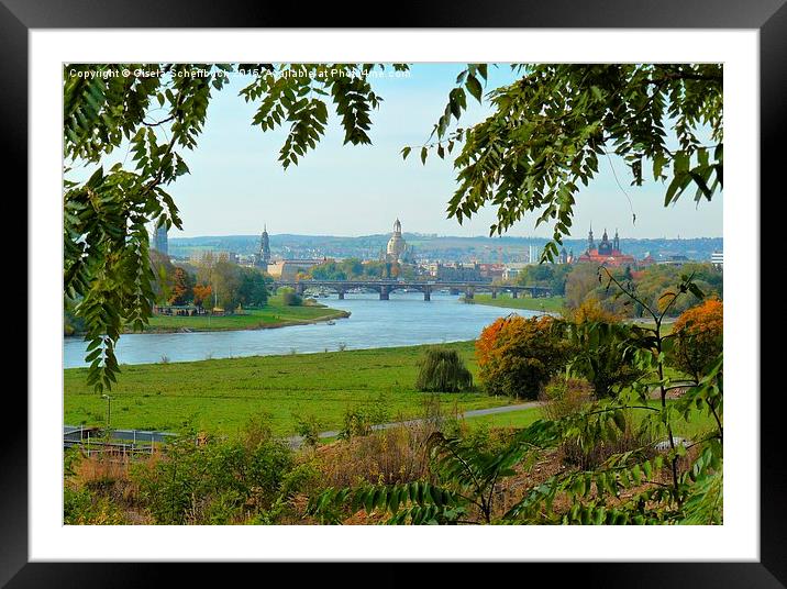  A Famous View of Dresden Framed Mounted Print by Gisela Scheffbuch