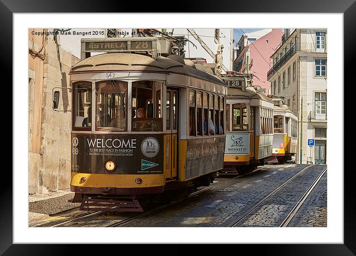 Lisbon trams Framed Mounted Print by Mark Bangert