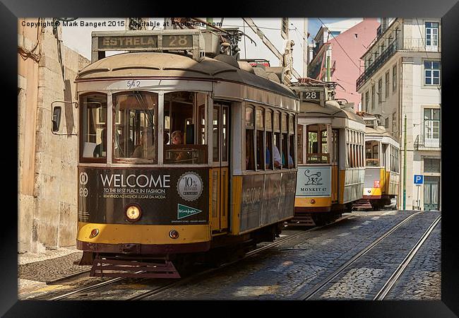 Lisbon trams Framed Print by Mark Bangert