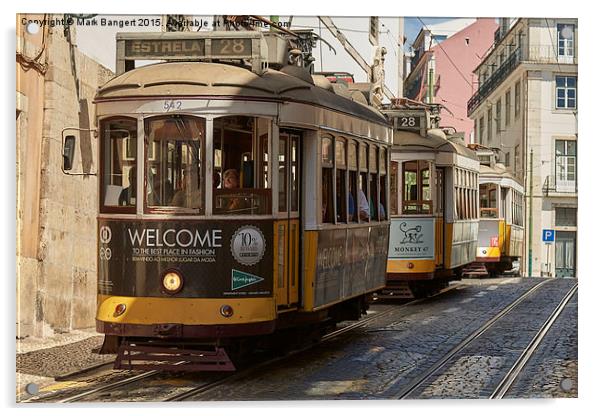 Lisbon trams Acrylic by Mark Bangert