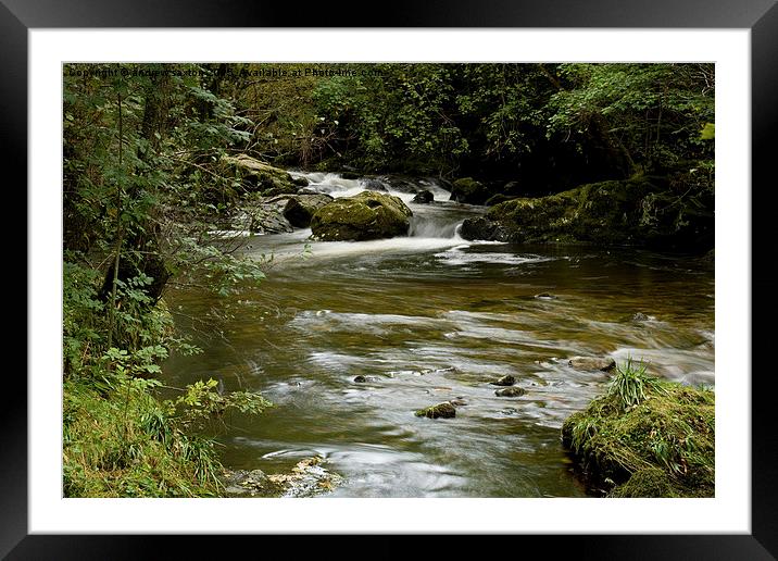  GREEN AND WATER Framed Mounted Print by andrew saxton
