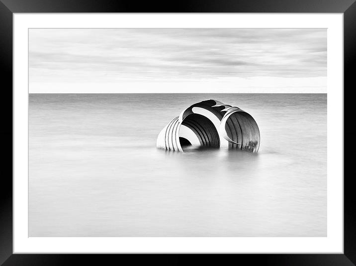  Mary's Golden Shell in high key Framed Mounted Print by David McCulloch