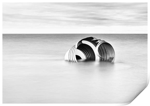  Mary's Golden Shell in high key Print by David McCulloch