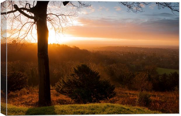  Sunrise on Reigate Hill Canvas Print by Colin Evans