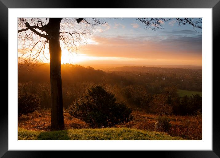  Sunrise on Reigate Hill Framed Mounted Print by Colin Evans