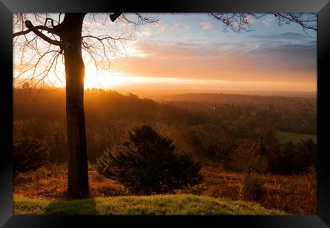  Sunrise on Reigate Hill Framed Print by Colin Evans