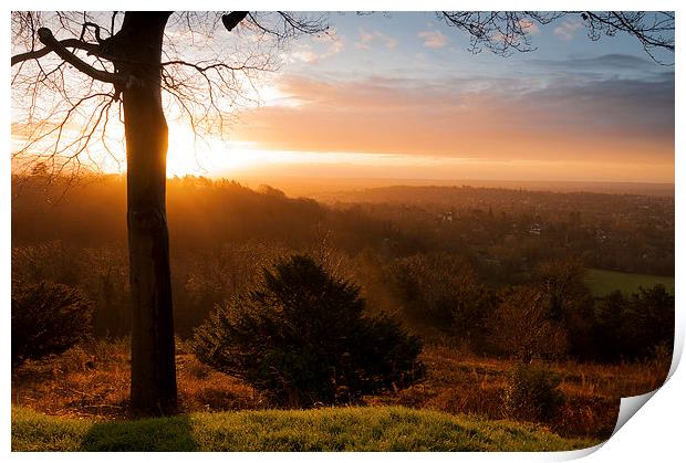  Sunrise on Reigate Hill Print by Colin Evans