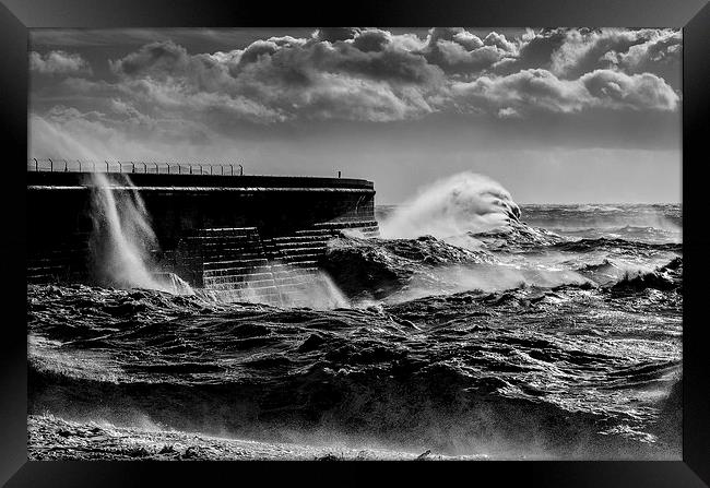  Hold on tight its a bit rough ! Framed Print by Trevor Kerr
