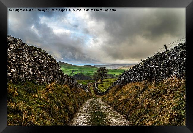  Stainforth to Catrigg Falls Track Framed Print by Sandi-Cockayne ADPS