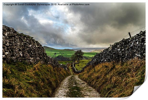  Stainforth to Catrigg Falls Track Print by Sandi-Cockayne ADPS