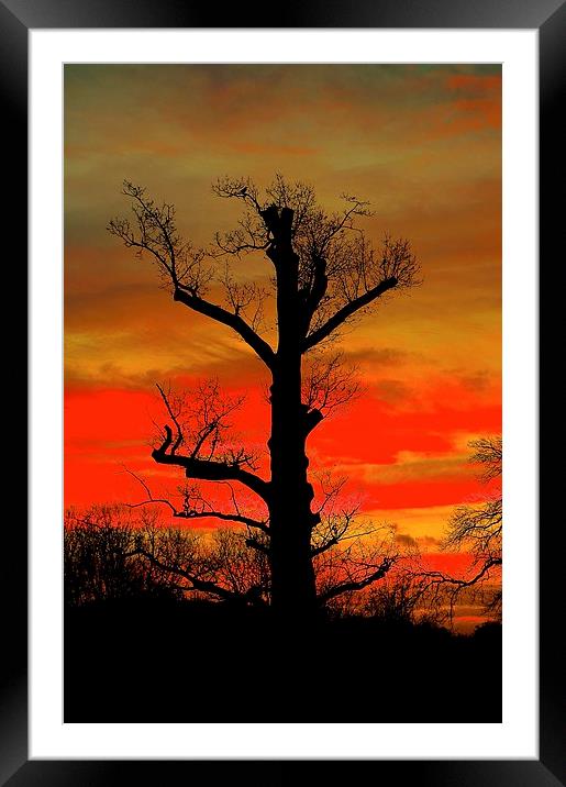  Sunrise or Sunset Framed Mounted Print by Sue Bottomley