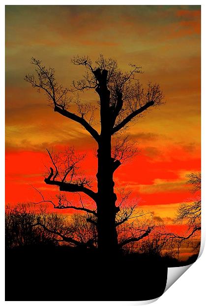  Sunrise or Sunset Print by Sue Bottomley