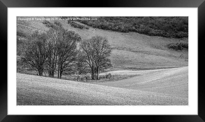  Downland Copse Framed Mounted Print by Tony Sharp LRPS CPAGB