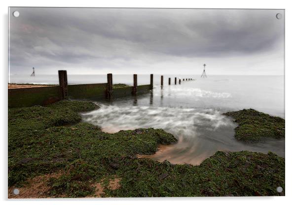 Exmouth beach Acrylic by David Hare