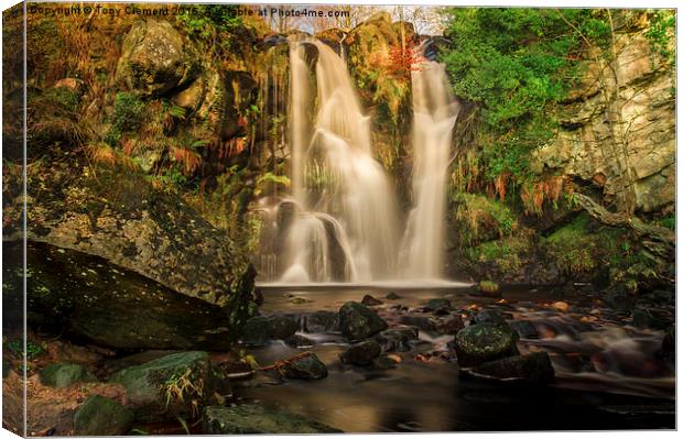  Valley of Desolation  Canvas Print by Tony Clement