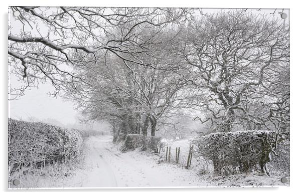  English country lane in the snow Acrylic by Andrew Kearton