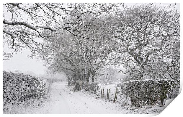  English country lane in the snow Print by Andrew Kearton