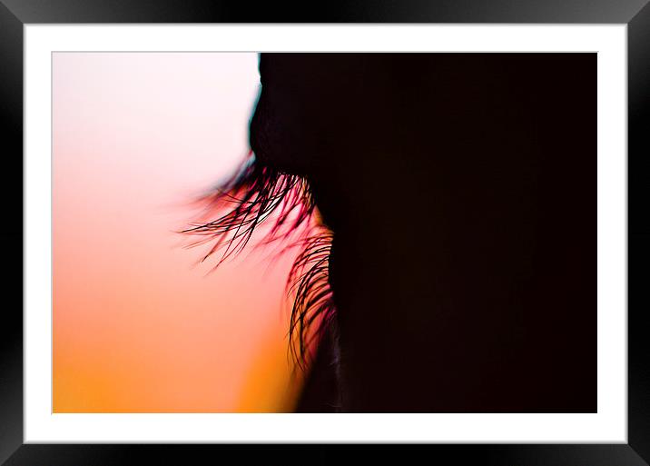  Lashes and lashes of sunshine Framed Mounted Print by Trevor Kerr