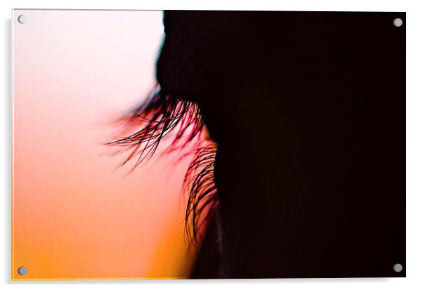  Lashes and lashes of sunshine Acrylic by Trevor Kerr