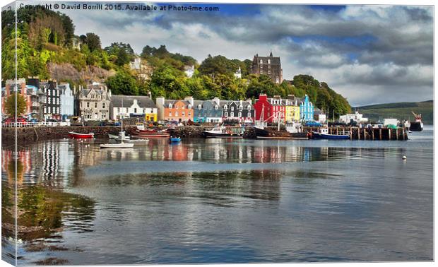  Tobermory Bay and Harbour Canvas Print by David Borrill