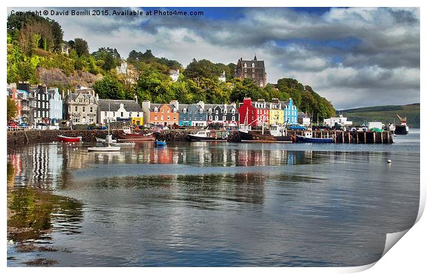  Tobermory Bay and Harbour Print by David Borrill