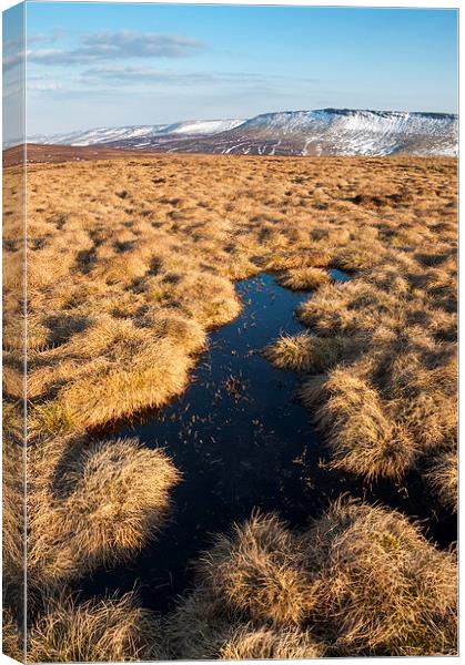  Winter on the moors  Canvas Print by Andrew Kearton
