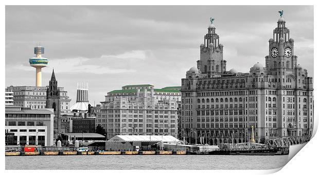  veiw from the mersey ferry Print by sue davies