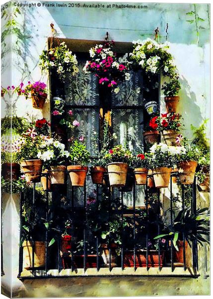  Florally 'decked out' window in Minorca Canvas Print by Frank Irwin