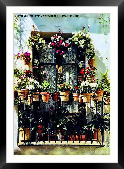  Florally 'decked out' window in Minorca Framed Mounted Print by Frank Irwin