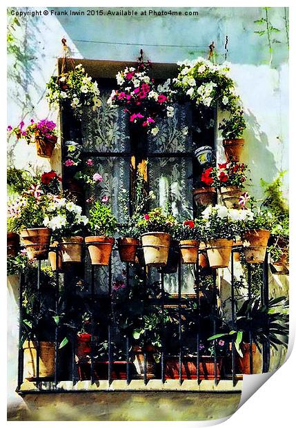  Florally 'decked out' window in Minorca Print by Frank Irwin