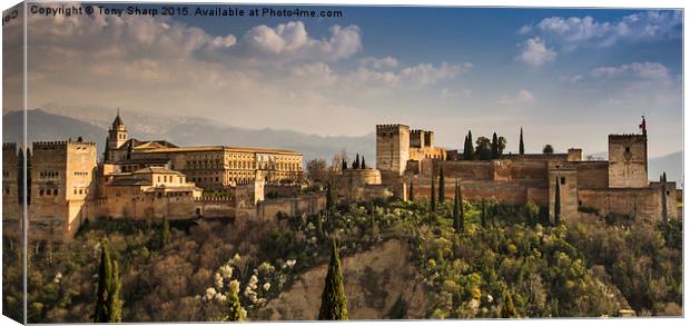  The magnificent Alhambra Palace in Granada Canvas Print by Tony Sharp LRPS CPAGB