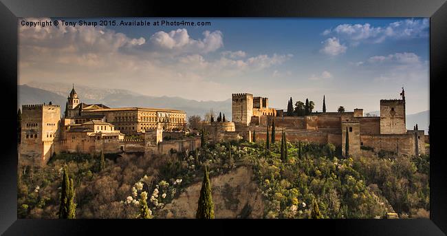  The magnificent Alhambra Palace in Granada Framed Print by Tony Sharp LRPS CPAGB