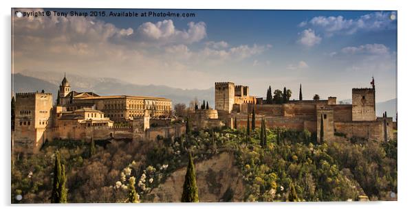  The magnificent Alhambra Palace in Granada Acrylic by Tony Sharp LRPS CPAGB