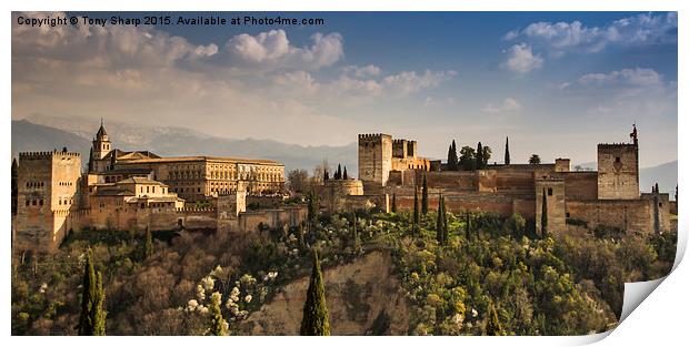 The magnificent Alhambra Palace in Granada Print by Tony Sharp LRPS CPAGB