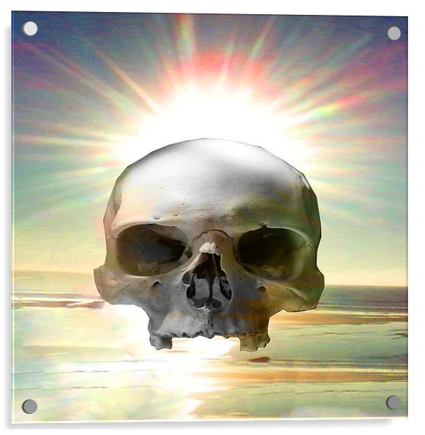  Skull Sunset Acrylic by Matthew Lacey