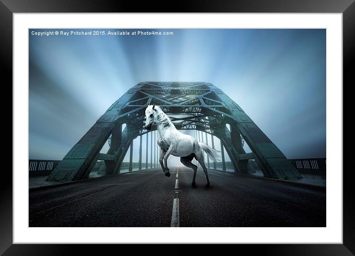   White Horse on the Tyne Bridge Framed Mounted Print by Ray Pritchard