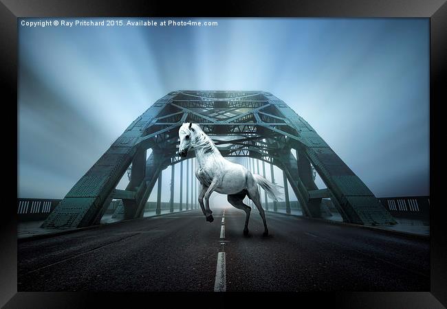   White Horse on the Tyne Bridge Framed Print by Ray Pritchard