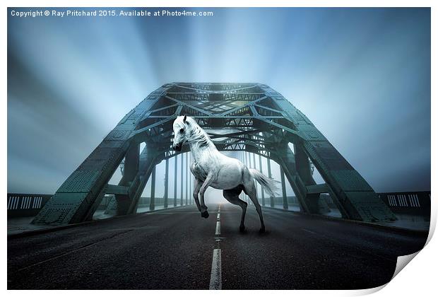  White Horse on the Tyne Bridge Print by Ray Pritchard