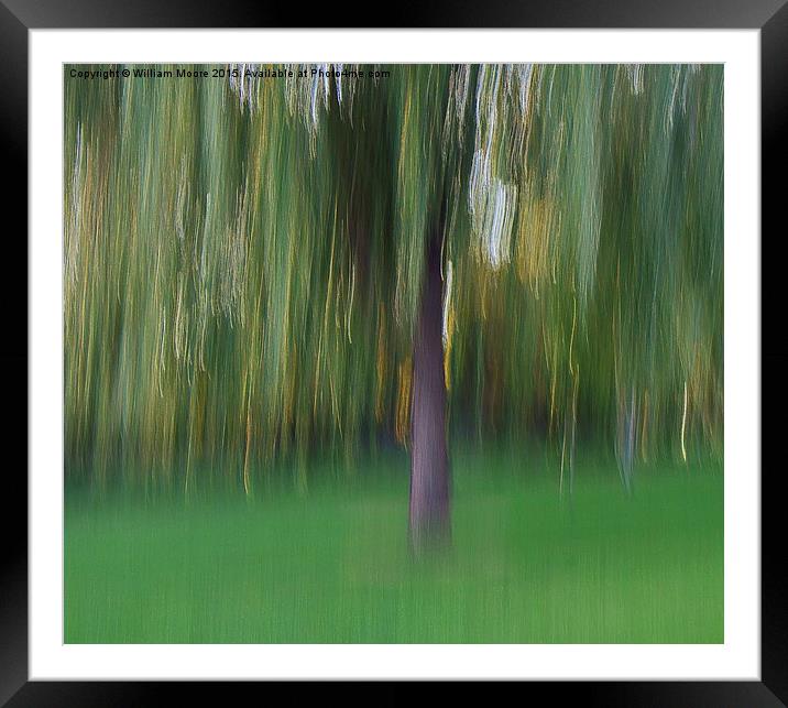  Willow Tree Framed Mounted Print by William Moore