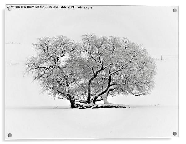  Tree in Winter Acrylic by William Moore