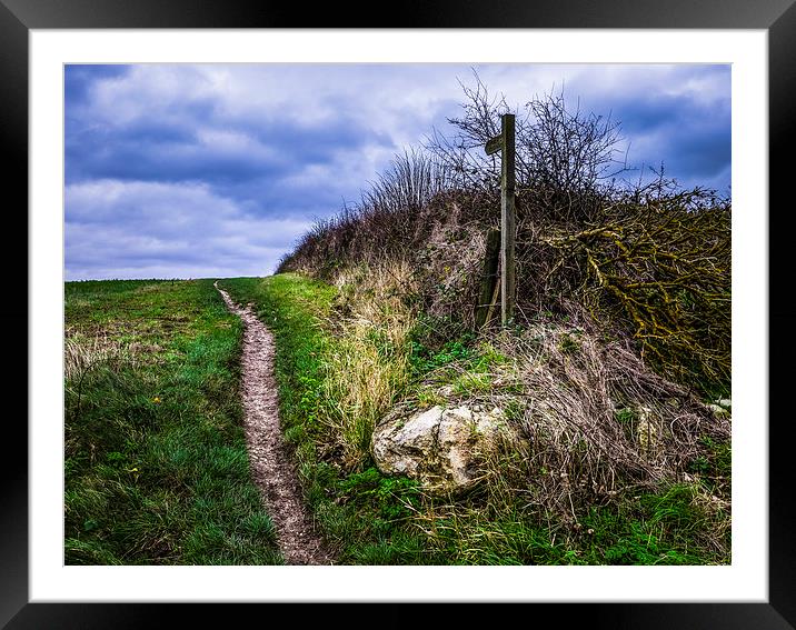 Serene Countryside Path Framed Mounted Print by P D