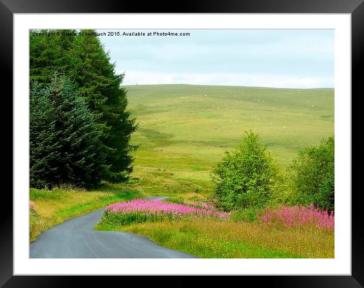  Scenery in the Black Mountain Framed Mounted Print by Gisela Scheffbuch