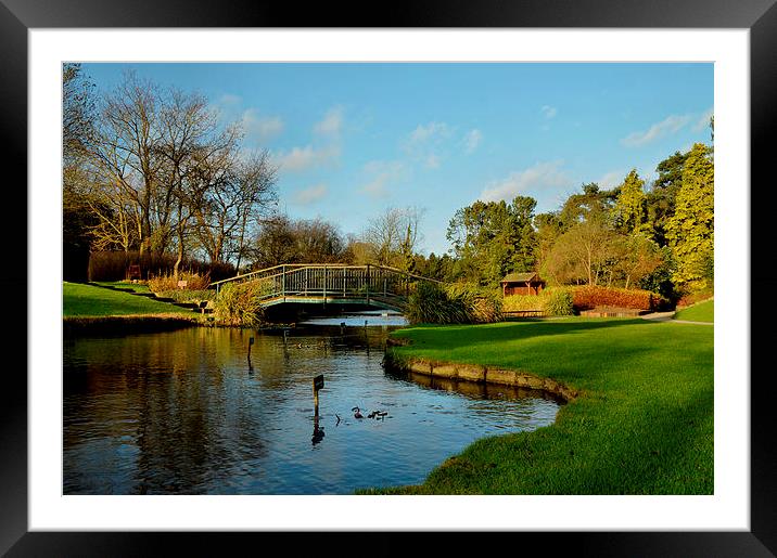  Winter in Burnby Hall Gardens Framed Mounted Print by Sarah Couzens