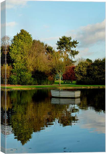 December in Burnby Hall Gardens Canvas Print by Sarah Couzens