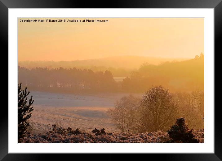  Frosty Dawn Framed Mounted Print by Mark  F Banks