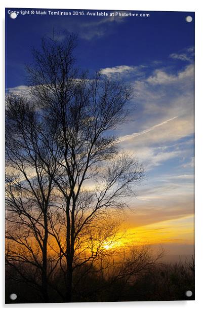  Winter Sunset Acrylic by Mark Tomlinson