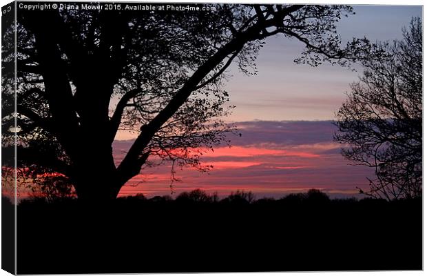  Essex Sunset Canvas Print by Diana Mower