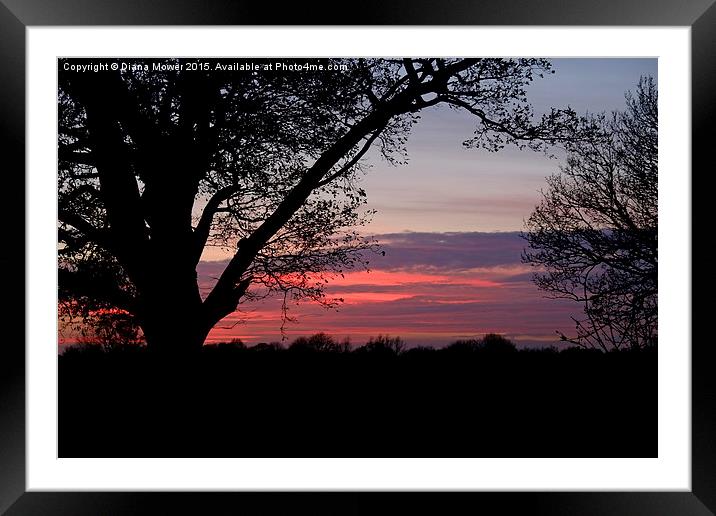  Essex Sunset Framed Mounted Print by Diana Mower