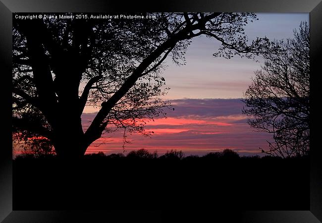  Essex Sunset Framed Print by Diana Mower